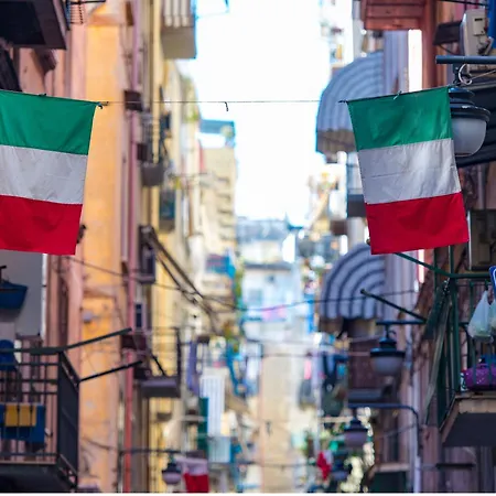 Incoming Spagnoli Nyaraló